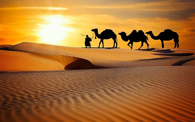 Unforgettable Adventures: Discover the Magic of a Morning Desert Safari in Abu Dhabi