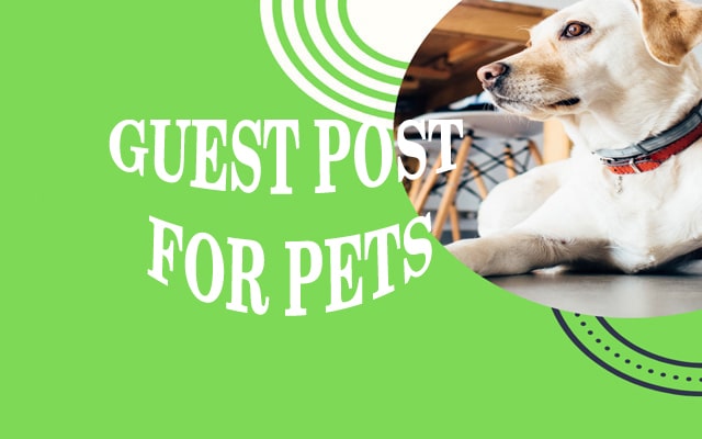 How to Submit pets Guest Posting for Free/Paid